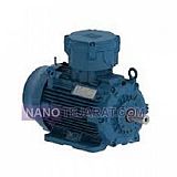 WEG Explosion Proof Motor WEG Explosion Proof Motor